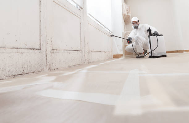 24/7 Emergency Mold Remediation experts in Capron, IL